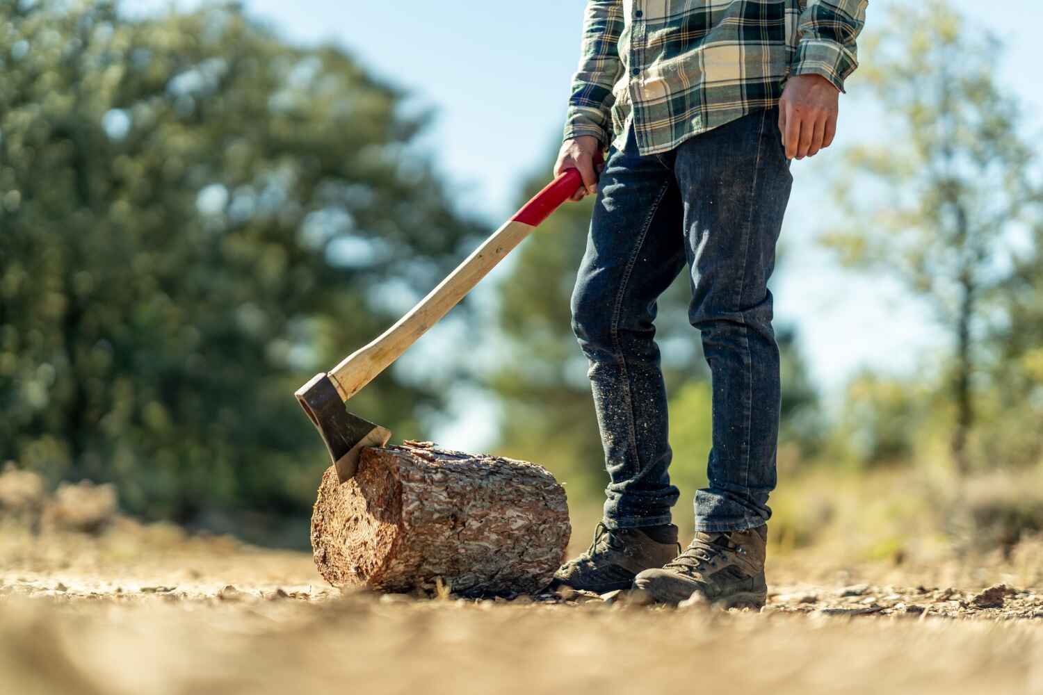 TreeGuard Tree Service